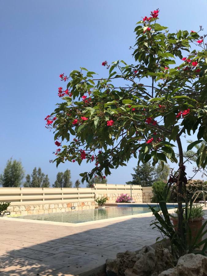 Savvas Villa Argaka Buitenkant foto